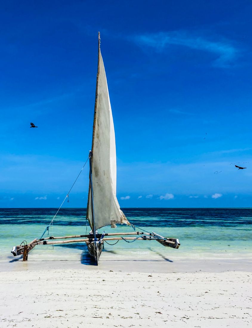 Traditional dhow on the beach